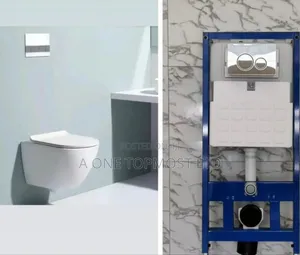 Wall Hung Water Closet