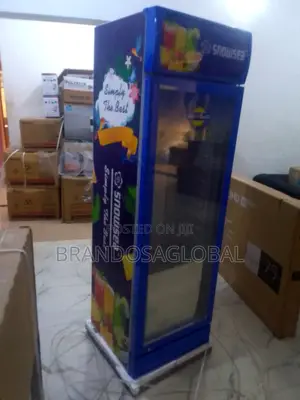 Big Size Snowsea Lc-300 Chiller – Brand New
