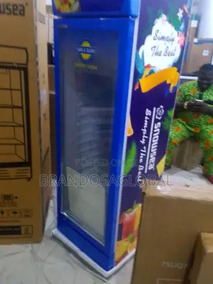 Snowsea 300l Chest Chiller – Premium Quality
