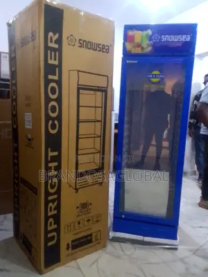 Snowsea Lc-300 – Best Value Commercial Chiller