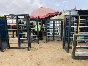 Aluminum Casement Window With Galvanise and Net