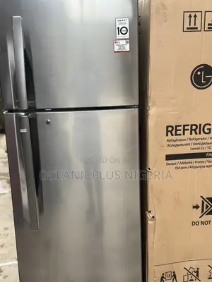 Lg 308l Smart>Chill Homecool (Ref 322rlbn)Double Door Refrigerator