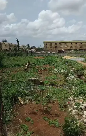 Residential Land in Serene Area at Millenium Estate in Shasha for Sale