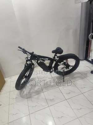Electric Bike