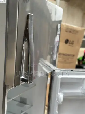 Lg 308l Steady Performance Non-Frost Double Door Refrigerator,