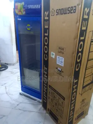Snowsea Lc-300 – Built for Nigerian Power Supply