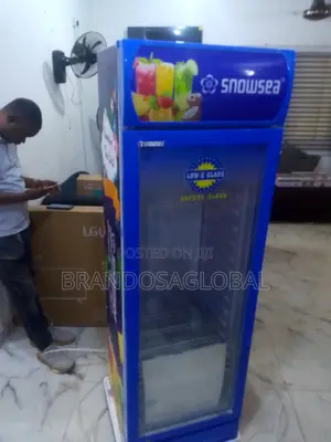 Snowsea 300l Chiller – Excellent for Frozen Foods