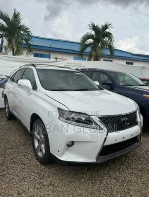 Lexus RX 2010 White