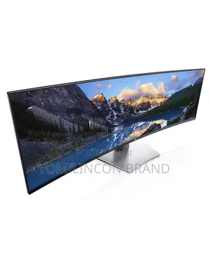 Dell Ultrasharp 49 Curved Usb-C Monitor U4919dw