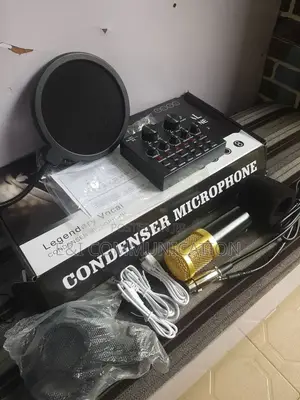 Professional Condenser Microphone.