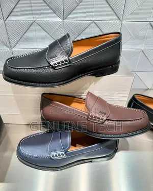 *Luxury Dior Shoe*