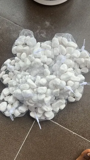 High-Quality Natural Pebble Stones