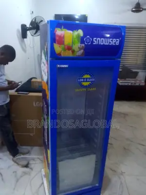 Snowsea 300l Chest Chiller – Low Power Consumption