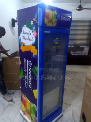 300l Snowsea Chiller – Perfect for Frozen Storage