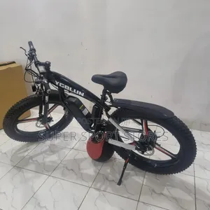 Electric Bicycle