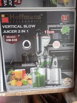 Hoffman's Electronic Vertical Slow Juicer 2in1