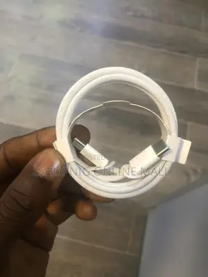 Original Apple Type C to Type C Cable