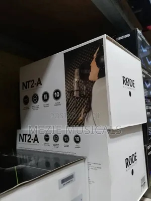 Studio Microphone Nt2a