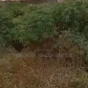 4 Acres of Land on the Major Road of Abule Egba