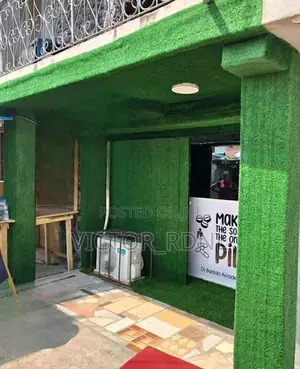 Original Lush Truf Carpet ( Artificial Grass )