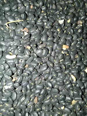 Akidi Black Beans