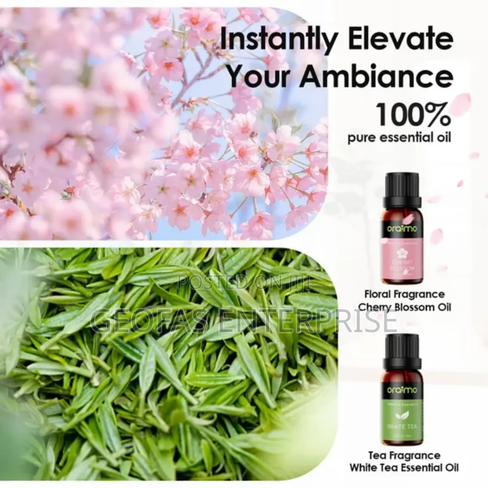 Oraimo Aromaglow Waterless Wall-Mounted Aromatherapy Diffuser