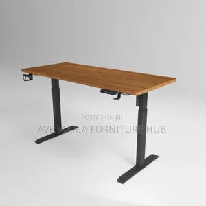 Modern Electric Sit to Stand Desk.