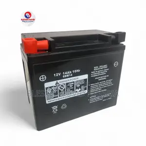 Original 6dm14 12v 14ah 10hr Replacement Battery