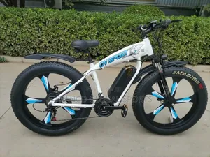 Electric Bike for Mountain Biking