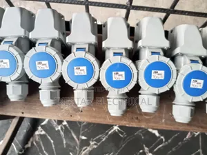 Industrial Male and Female Plug