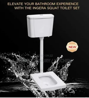 Squatting Pan With Flusher Tank
