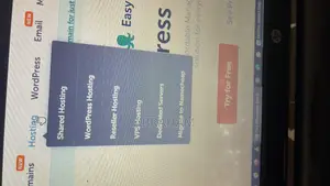 Website Design and Maintenance Backend Web Programmer