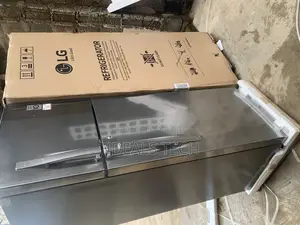 Energy-Efficient Lg Double Door Fridge (308l)