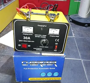 Full Automatic Battery Charger 30a 12/24v
