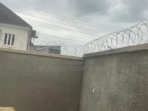 Anti Rust Galvanise Razor Wire
