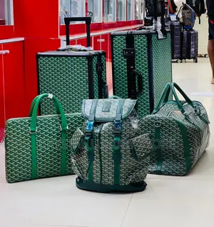 Goyard Quality Luxury Set Travel Luggage