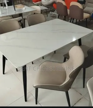 Plain Leather Dinning Chairs and Table