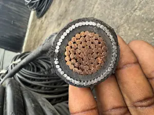 500mm Armored Cable , Coleman Cable and Wire