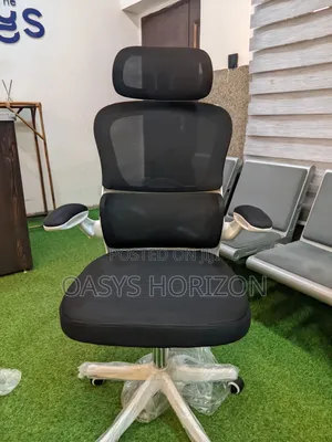 Ergonomic Chair With Lumbar Support