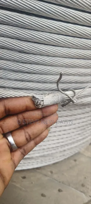 100mm Aluminium Conductor (Acsr)