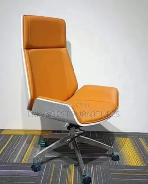 Classic Ergonomic Design Chair.