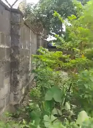 120 by 50 for at Bendel Estate Off Airport Road Warri
