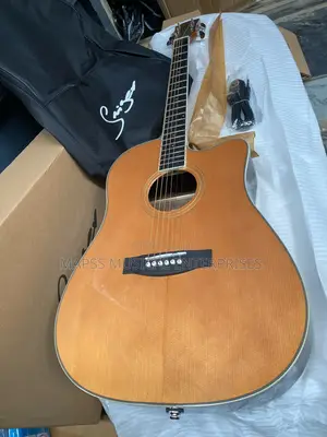 Smiger Professional Semi Acoustic Guitar