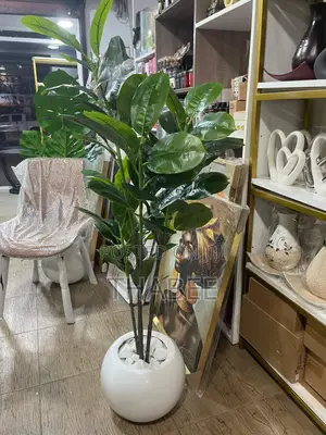 Artificial Ficus Rubber Plant