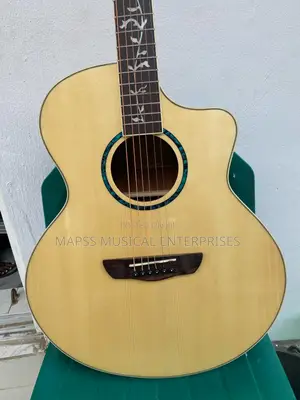 Bullfighter Semi Acoustic Guitar.