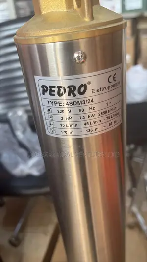 2hp Pedro Submersible Pump