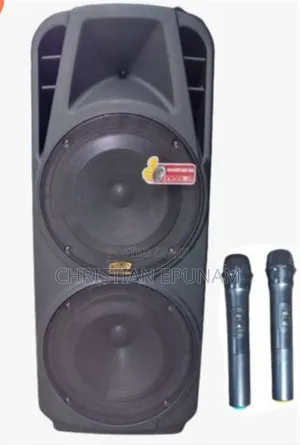 World King Double Pa System