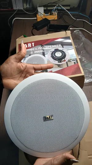 Dht 80 Cieling Speaker