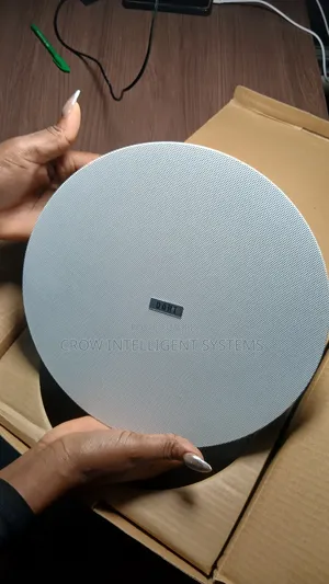 50 Watts Frameless Cieling Speaker