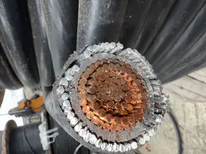 630mm Single Armored Cable